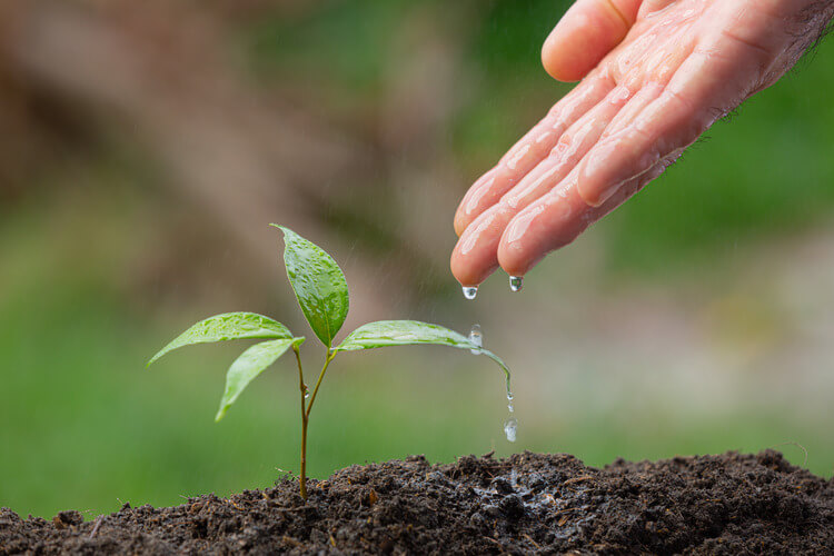 Astrology and Volunteering: Social Impact Based on Your Sign