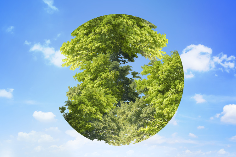 Astrology and Environmental Awareness: Eco-Friendly Living by Sign