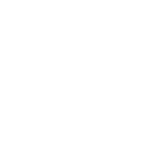 Stripes Partner