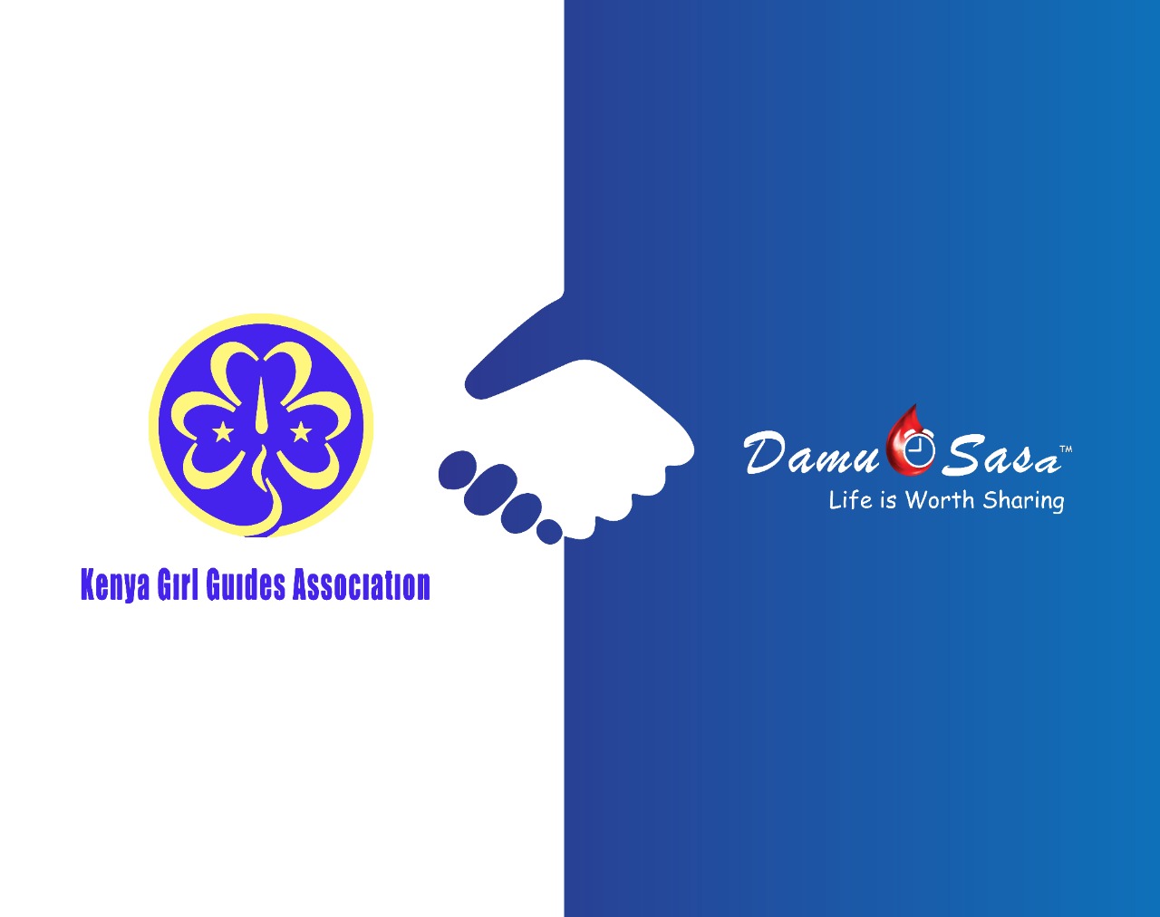 Kenya Girl Guides Association partners with Damu Sasa