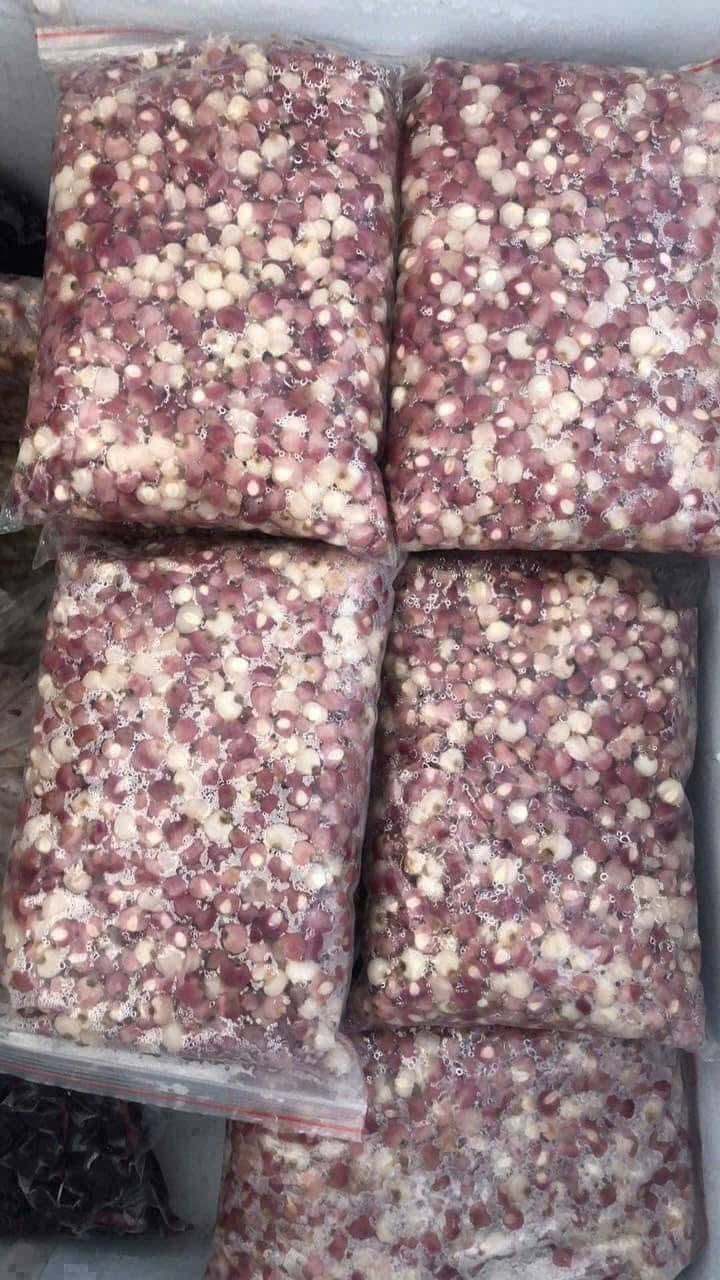 BẮP TÍM ĐIỆN BIÊN SIÊU NGON 4
