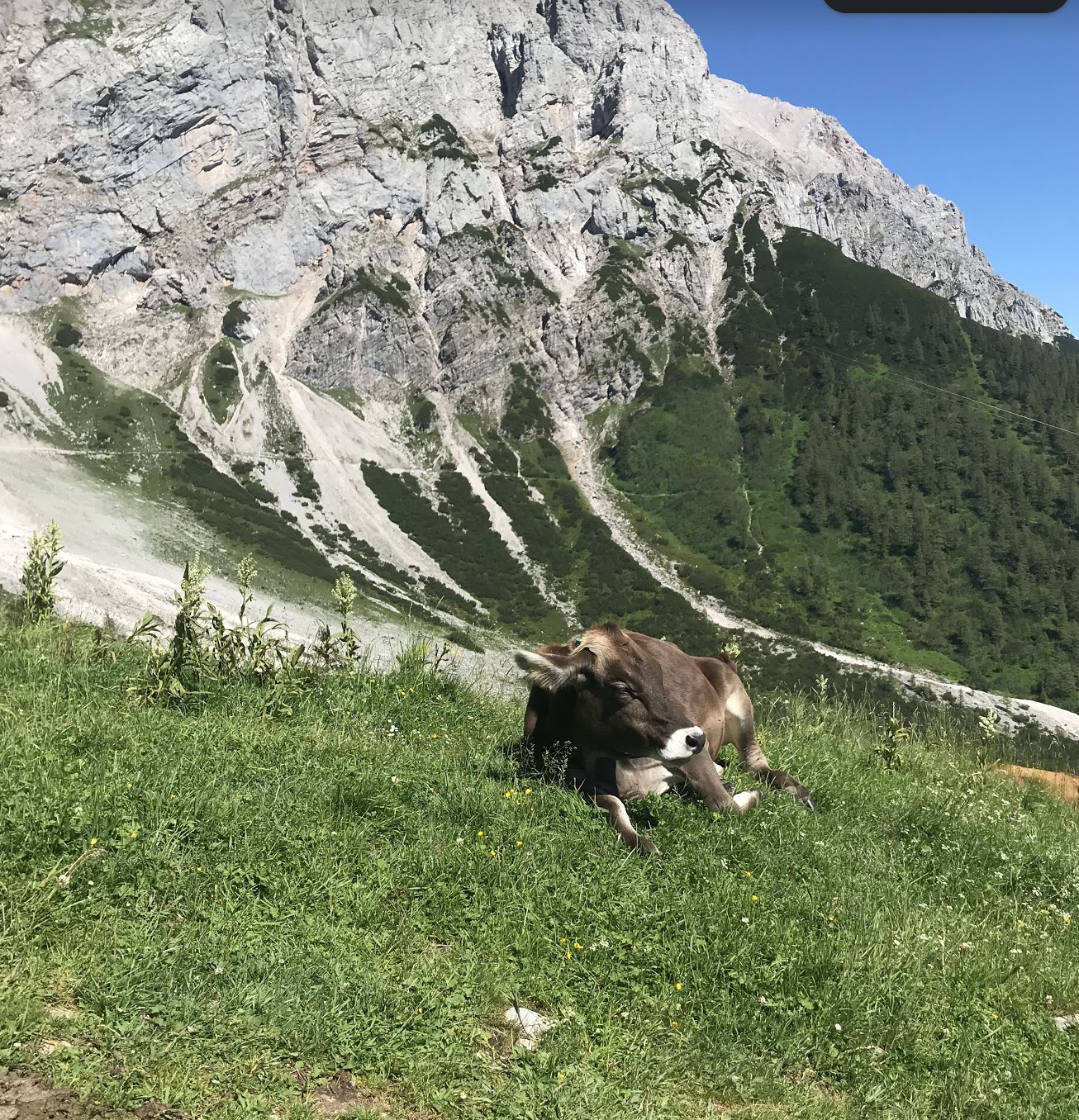 Dachstein
