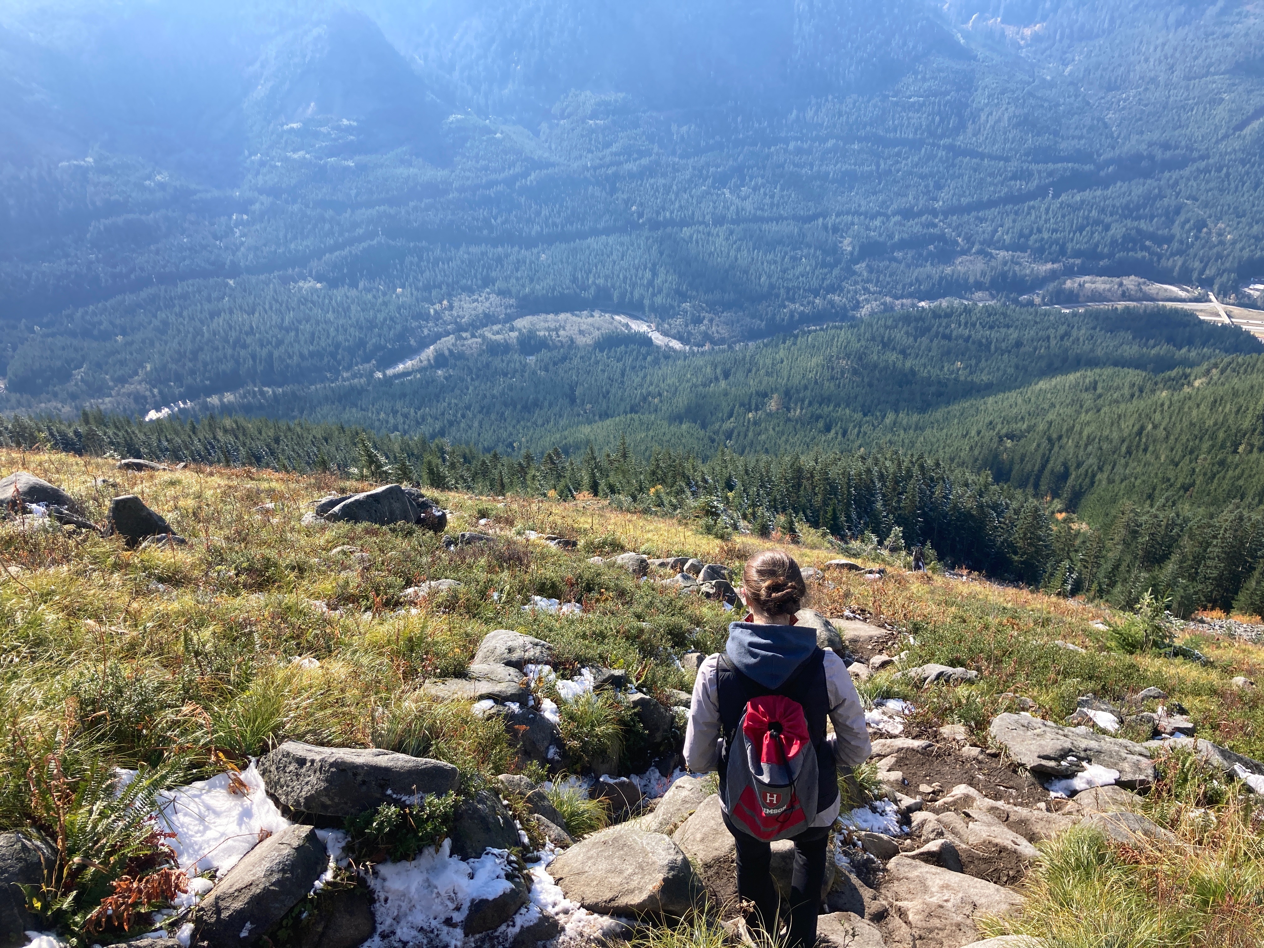 Mt. Defiance