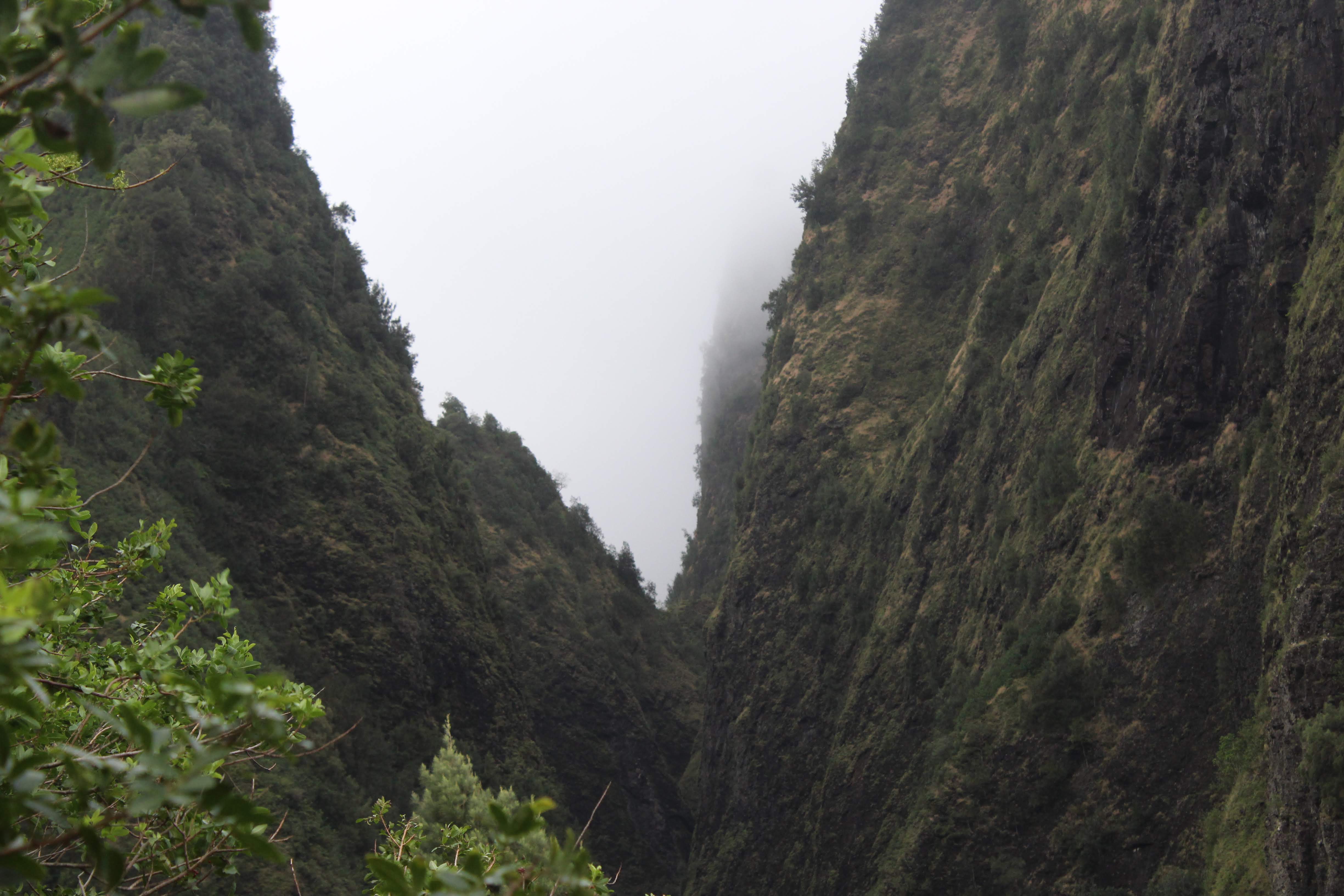 West Maui Forest Reserve