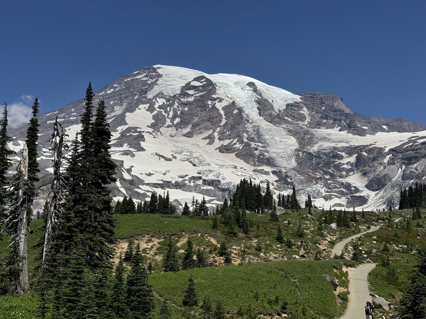 Paradise, Mt. Rainier