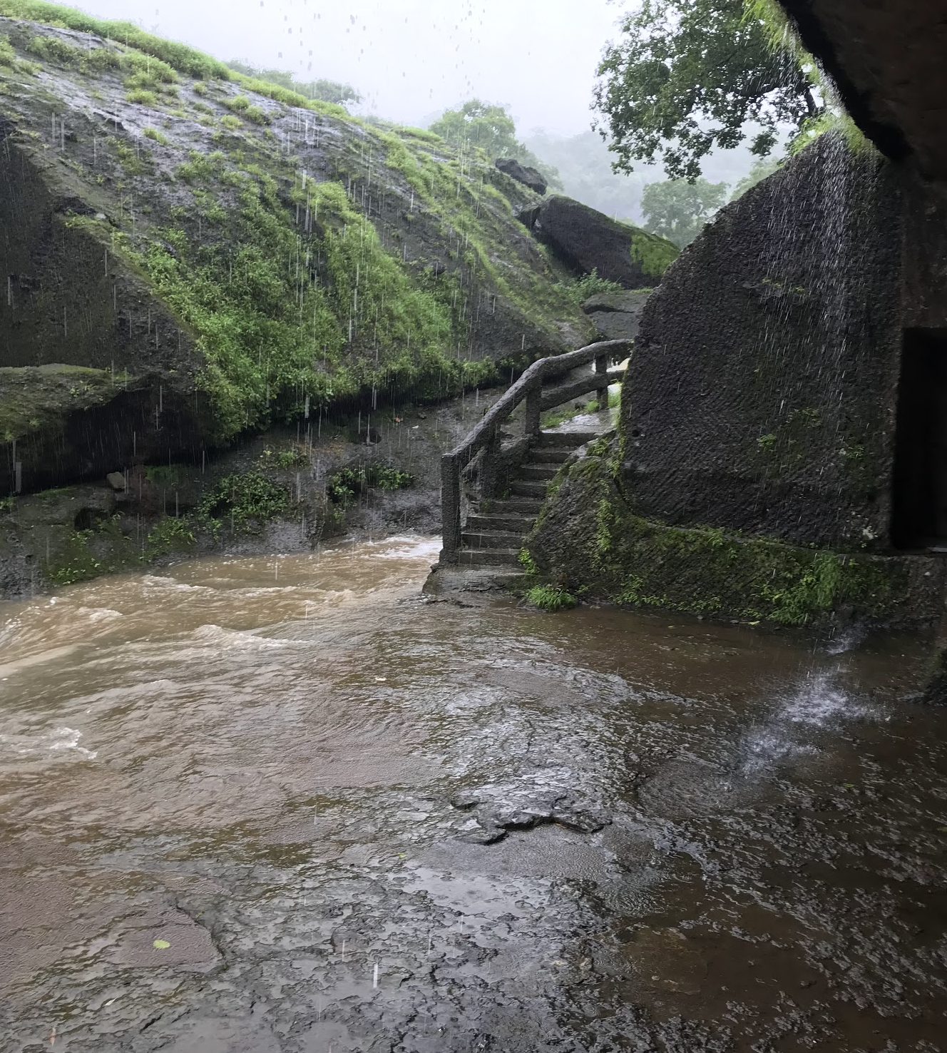 Sanjay Gupta National Park