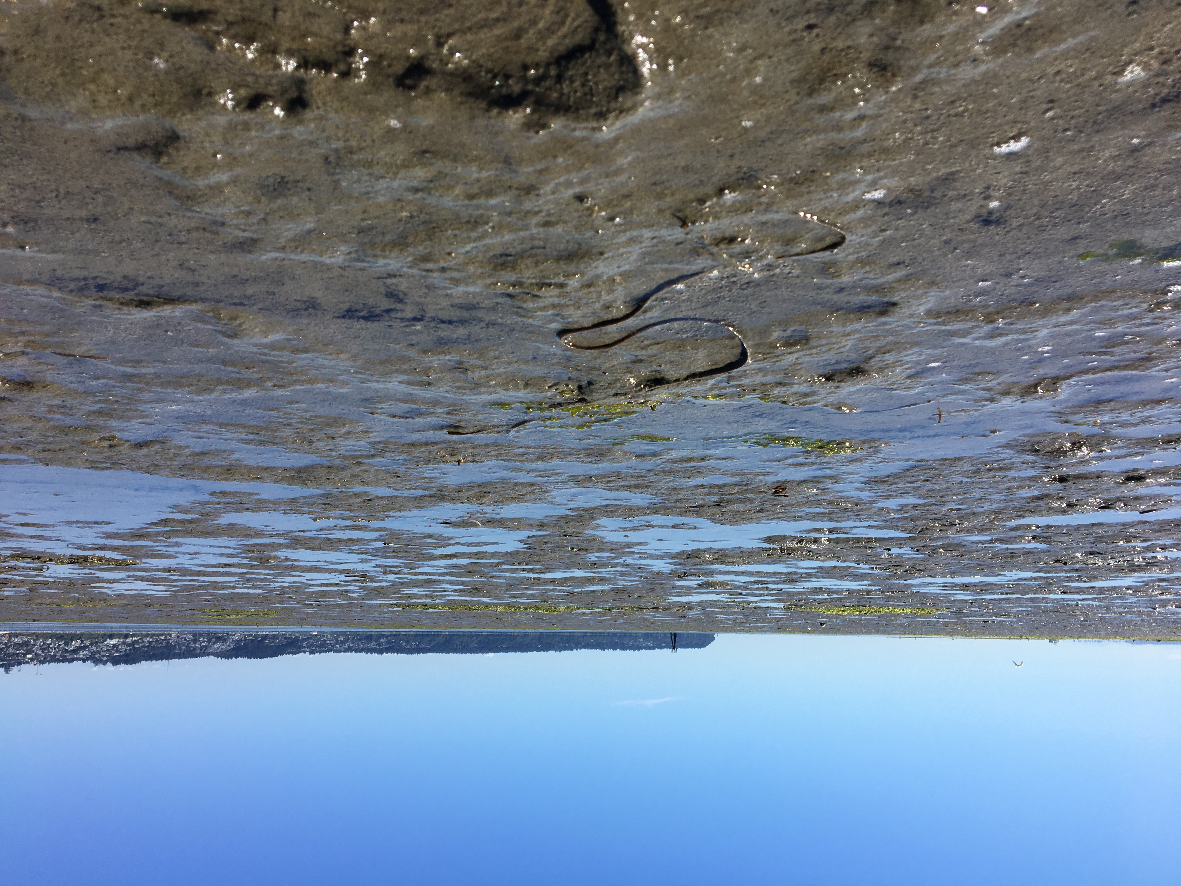 Semiahmoo
