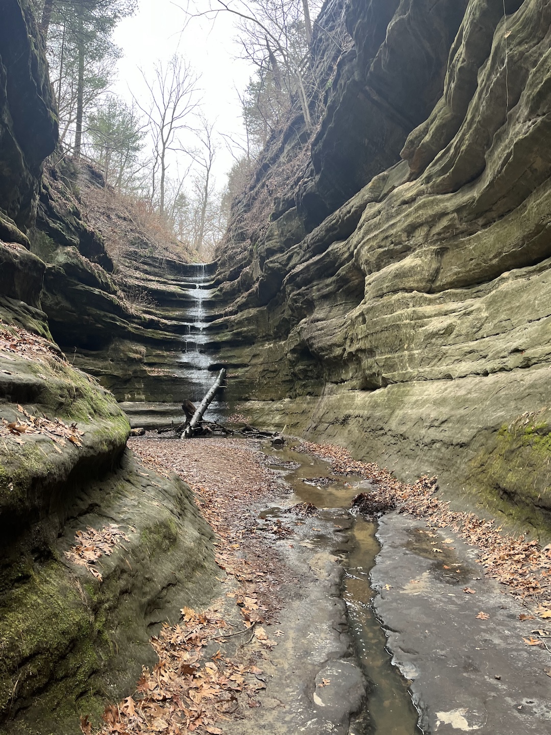 Starved Rock State Park