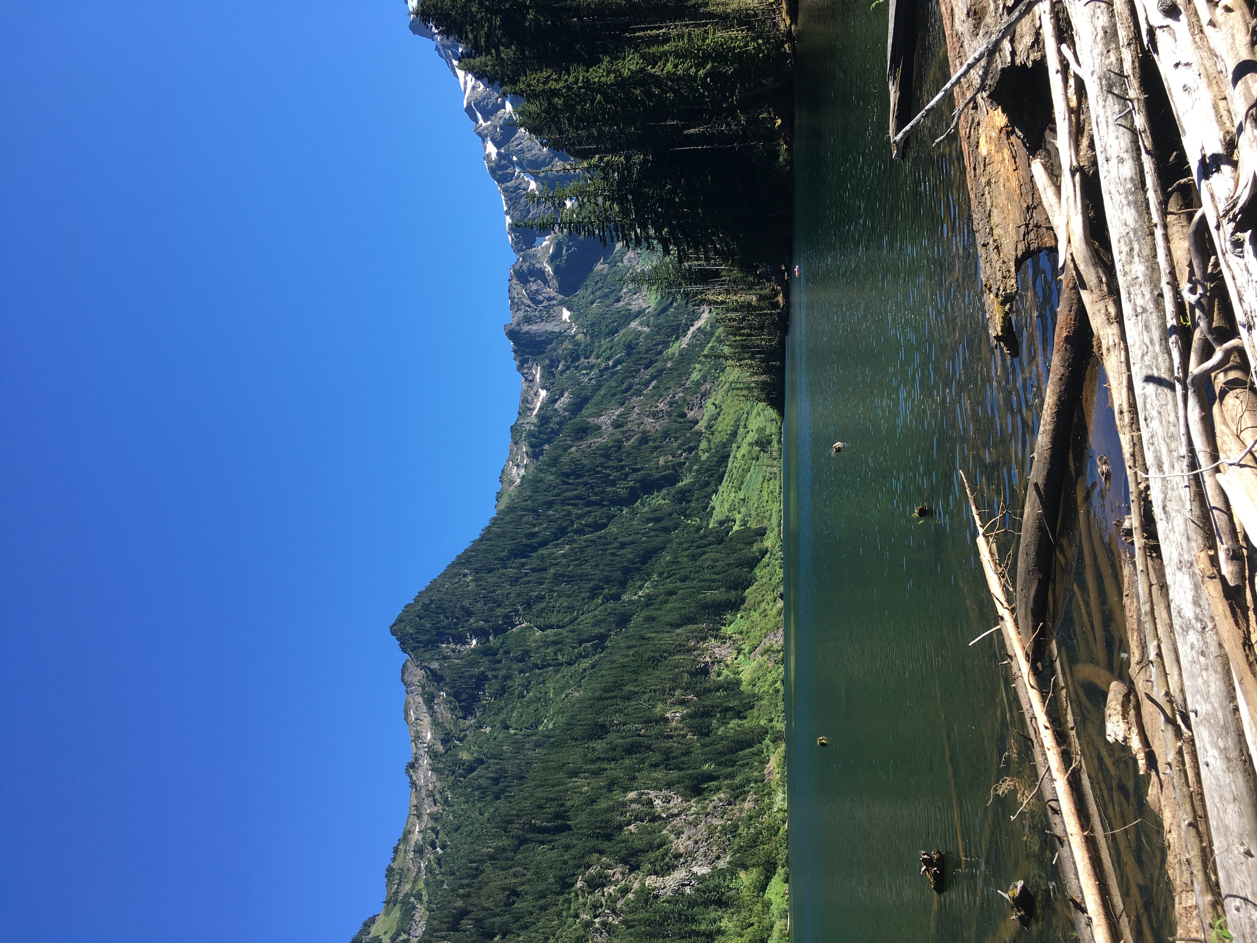 Wolf Lake