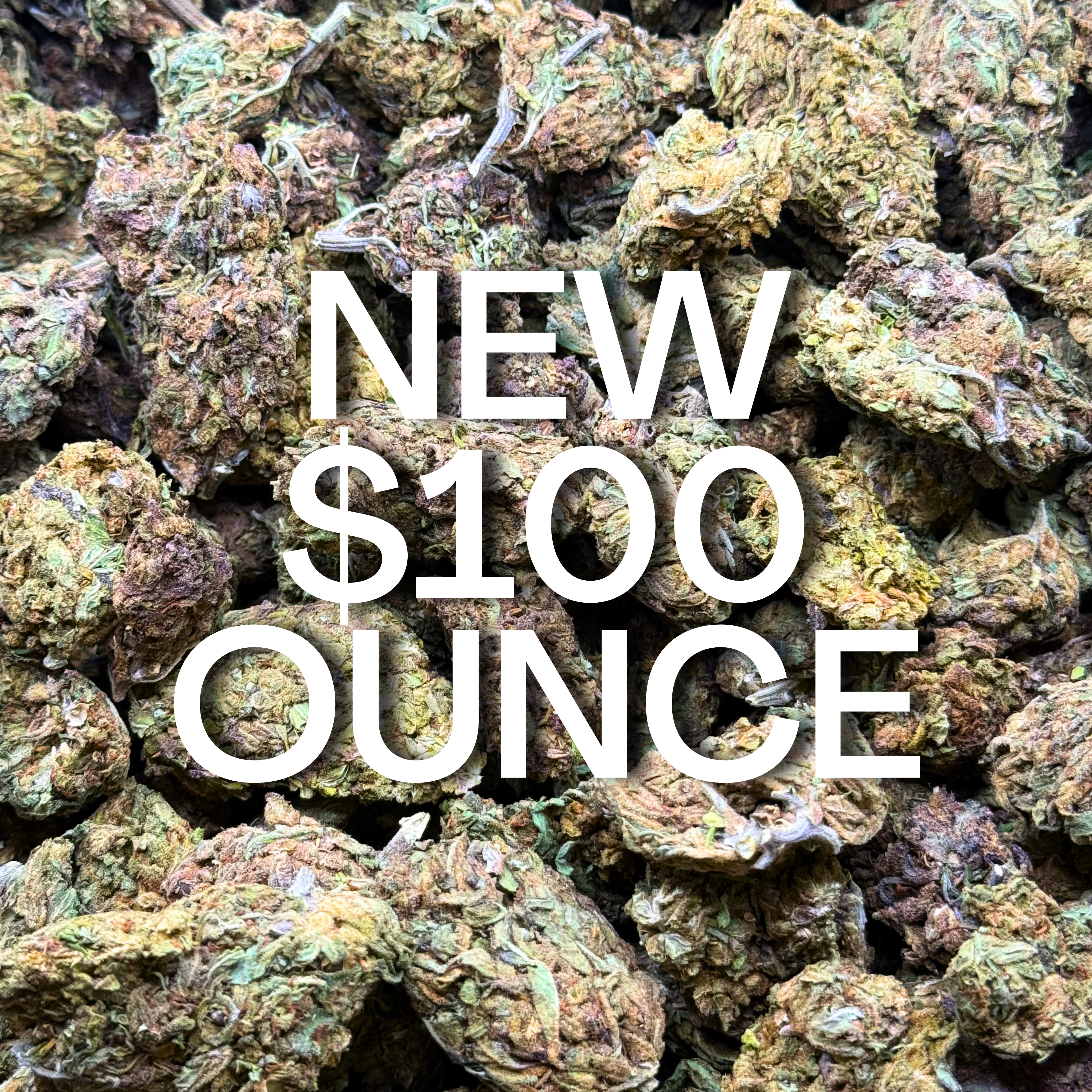 $100 Ounce is BACK!