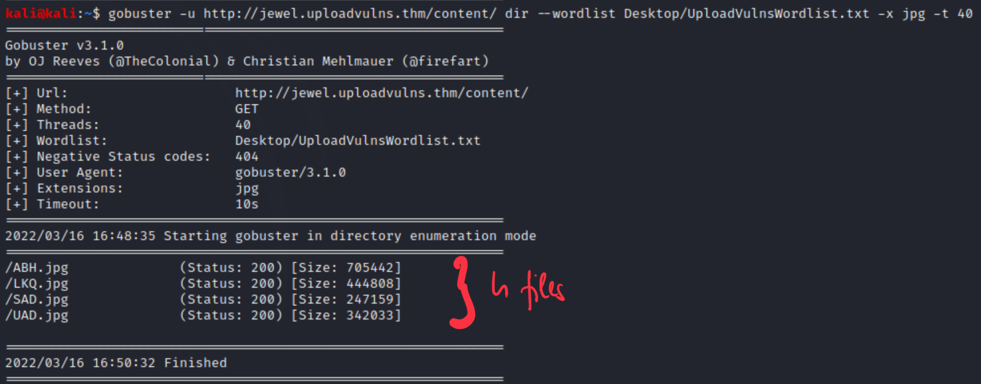 File list inside content directory