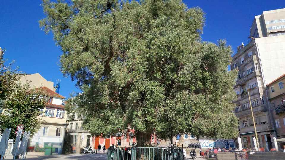 Promenade Alphonse XII