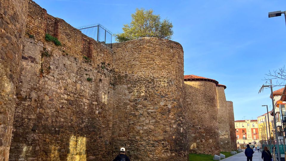 Medieval wall