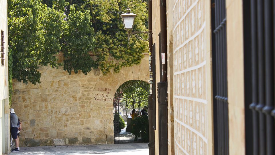 Huerto de Calixto y Melibea