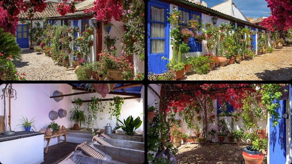 Patio Marroquíes, 6