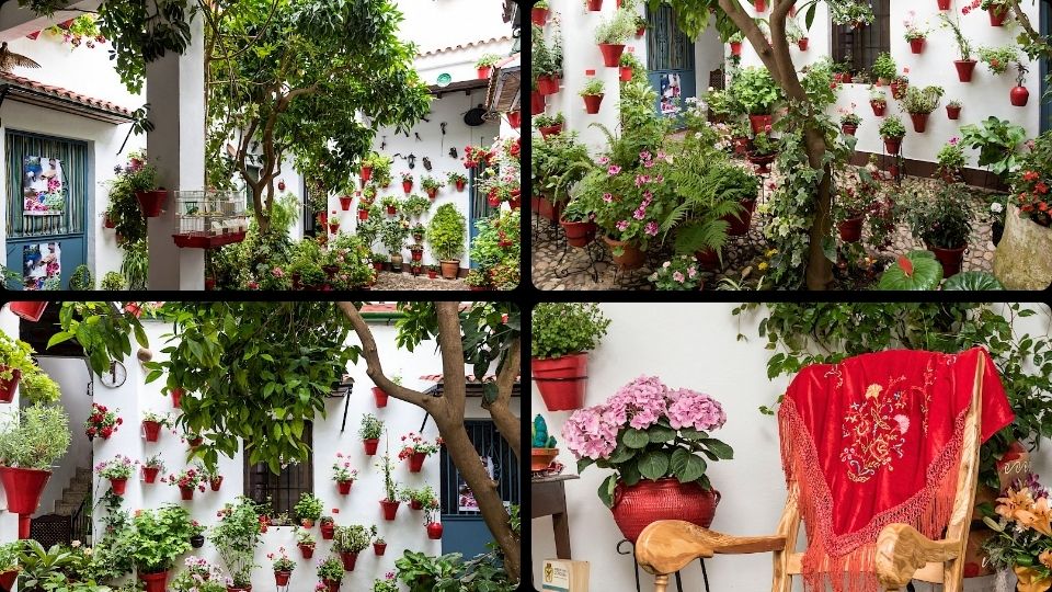 Patio Mariano Amaya, 4