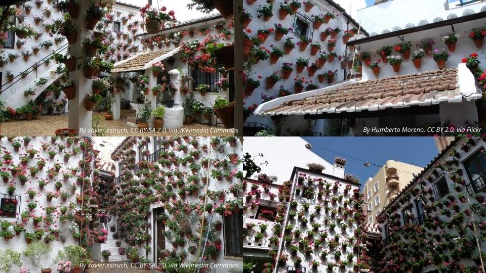 Casa Patio Martín Roa 7 - 9