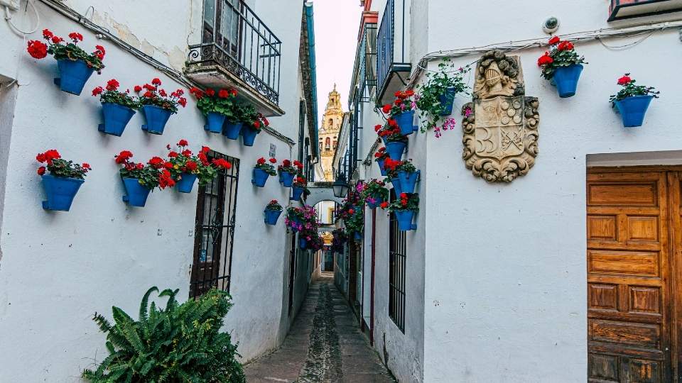 Calleja de las Flores