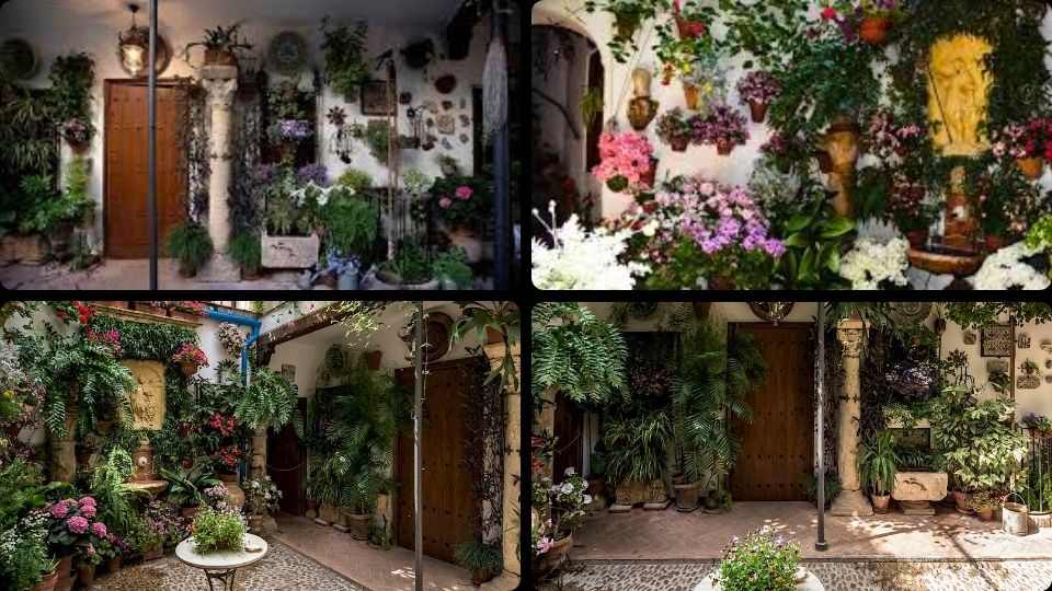 Patio - San Juan de Palomares, 8