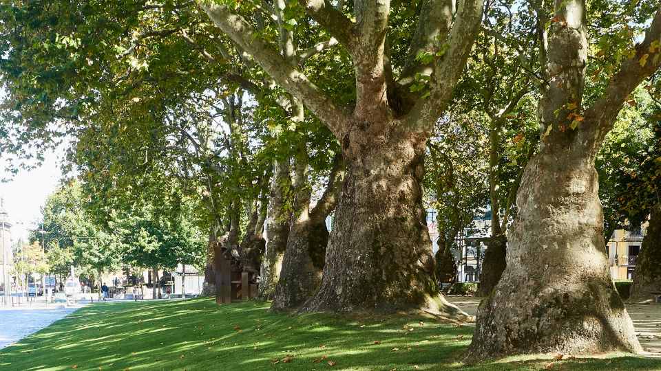 Campo dos Mártires da Pátria