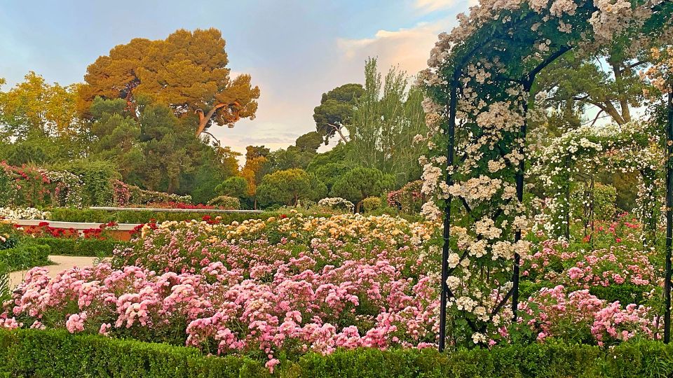 The Rose Garden