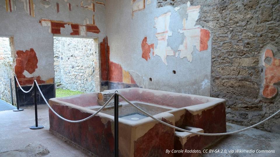 Fullonica de Stephanus