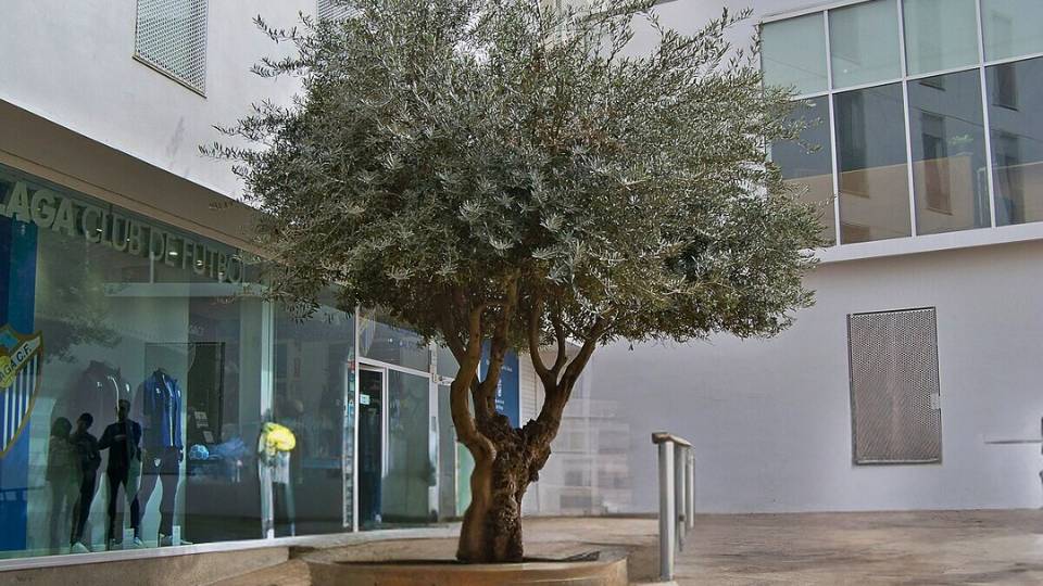 Plaza de la Judería