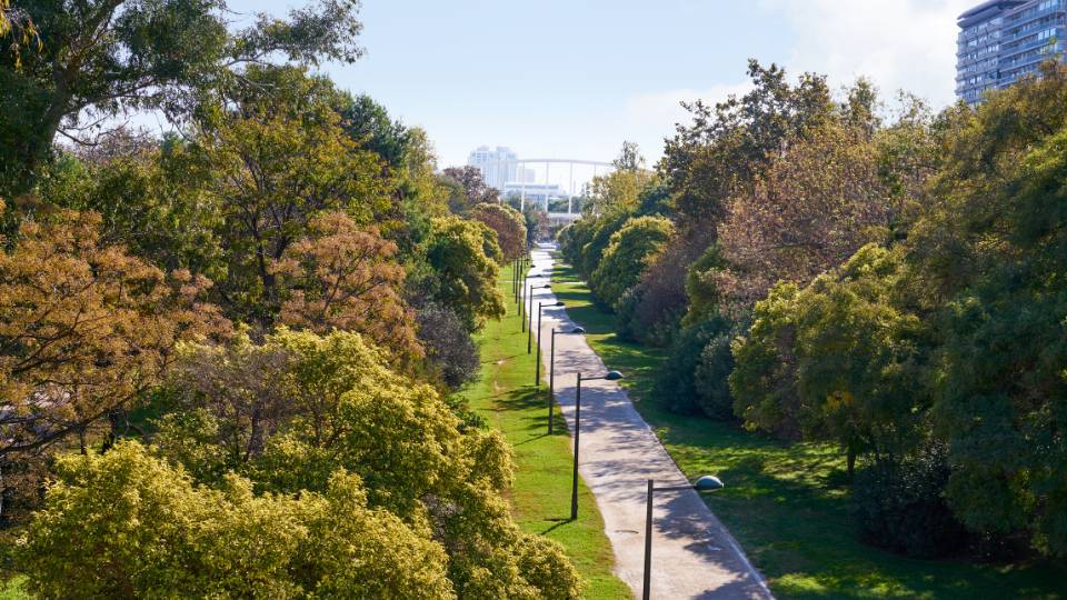 Jardín del Turia