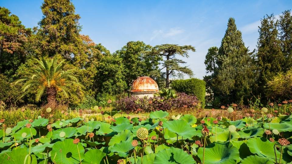 Jardin botanique