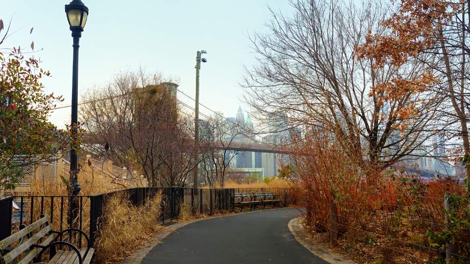 Parc de la rue principale