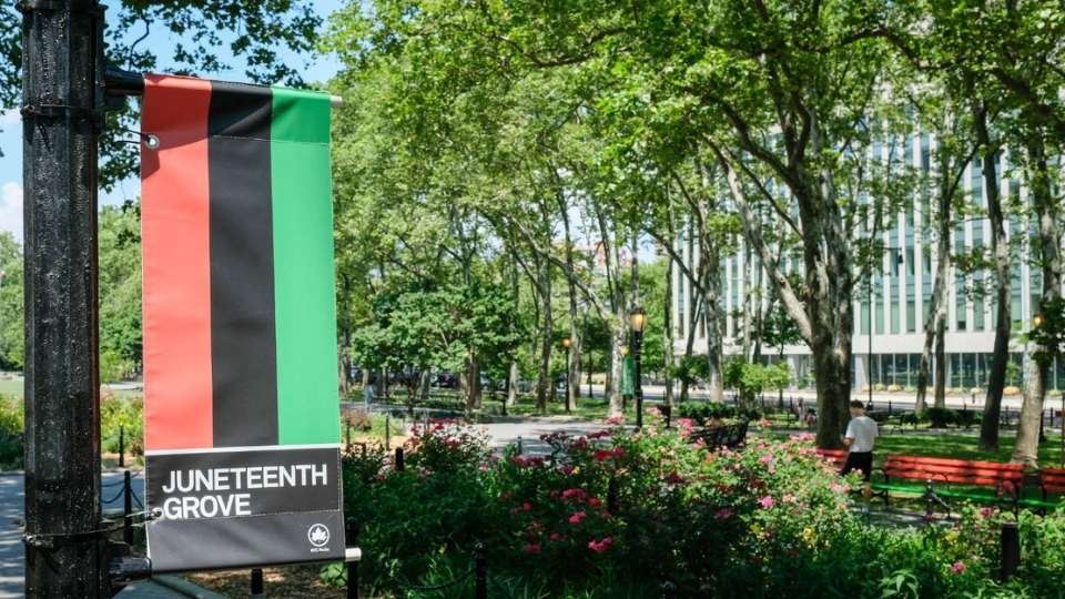 Bosquet de Juneteenth