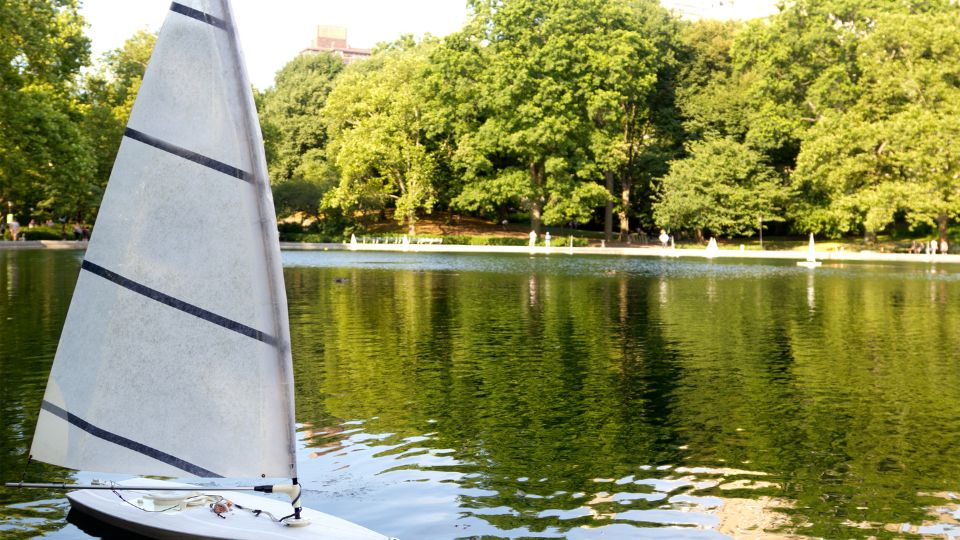 Alice au pays des merveilles