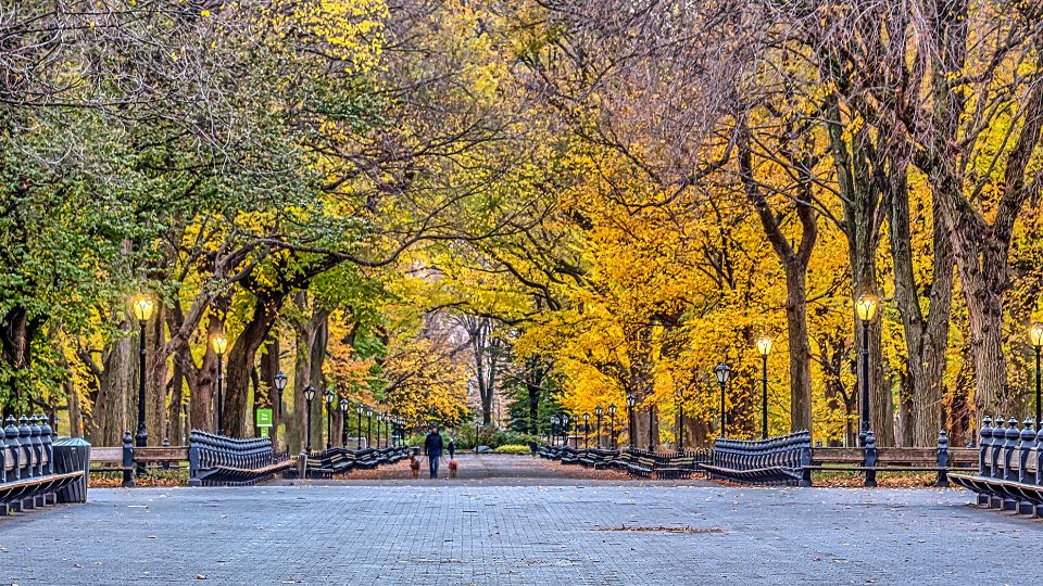 Le centre commercial