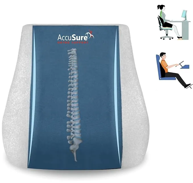 Accusure Back Rest - Orthotics by Darshan Elders Care - High quality medical equipment