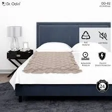 Anti Bedsore Air Mattress Large