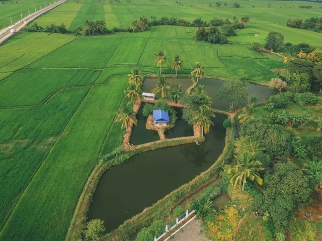 Exploring Why Extension of Foreign Investors’ Land Lease Period Can Be a Win-Win 