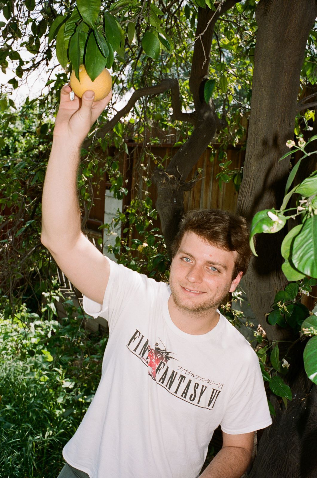 MAC DeMARCO FRUIT TREE PHOTOS!!