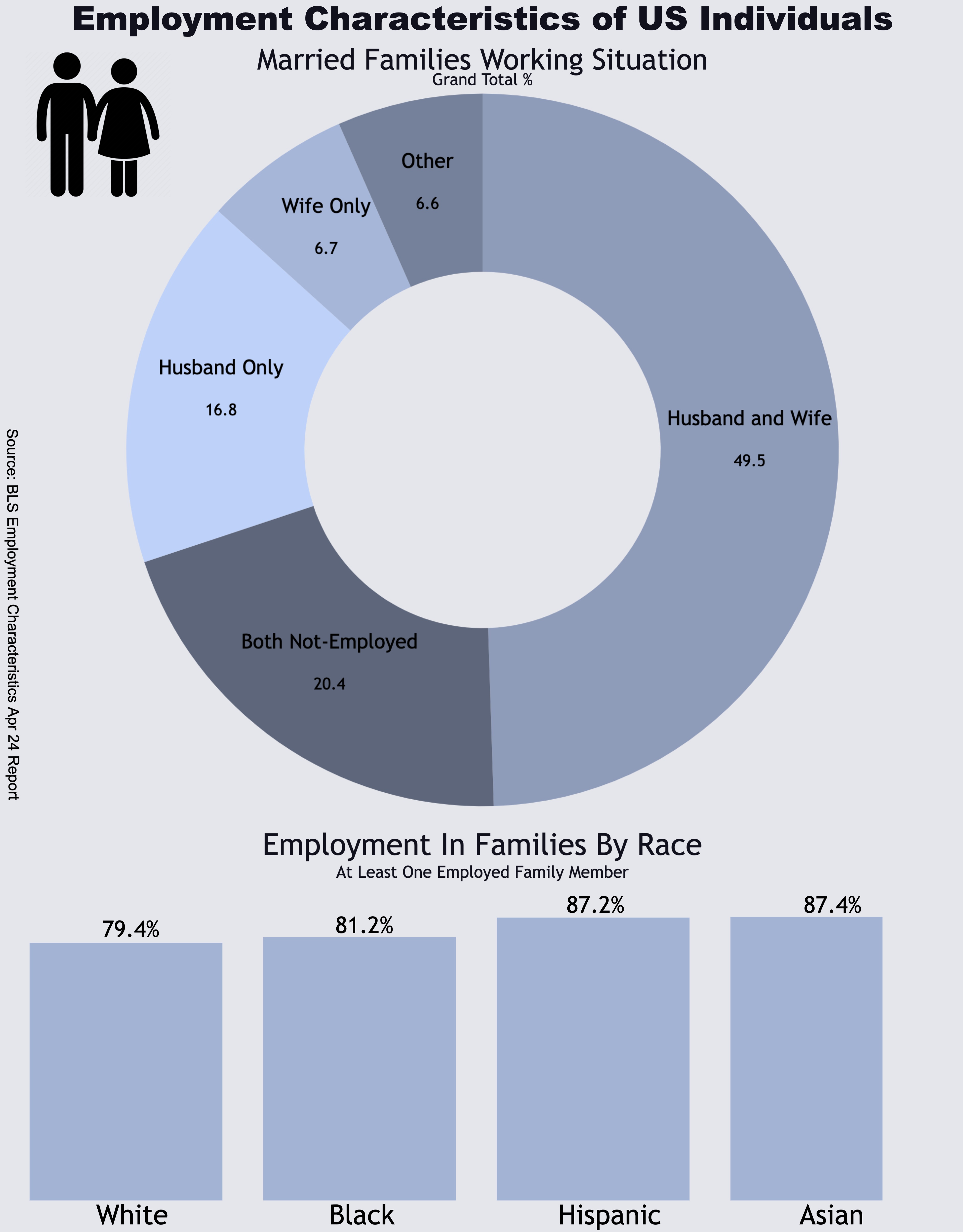 Employment Characteristics of US Individuals
