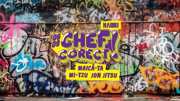 Chef Corect!
