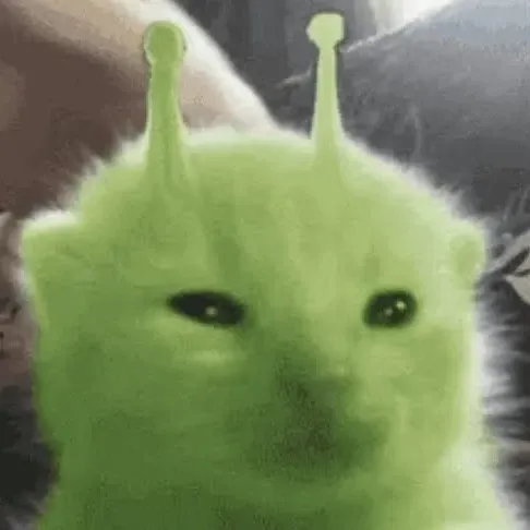 daywork-รูปภาพบริษัท-alienCat.coTest