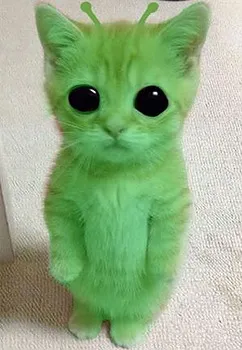 รูปภาพงาน 1