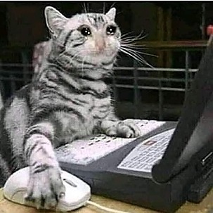 daywork-รูปภาพบริษัท-คนน่ารักอิอิไม่จำกัดมหาชน