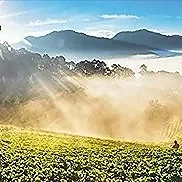 daywork-รูปภาพบริษัท-queddamoupeiyi-9603@yopmail.com