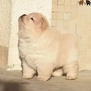 daywork-รูปภาพบริษัท-MayQA Management1 [tested]111