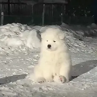 daywork-รูปภาพบริษัท-QQ Management (not verify)