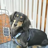 daywork-รูปภาพบริษัท-test