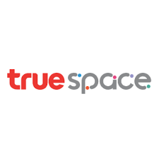 daywork-รูปบริษัท-True Space