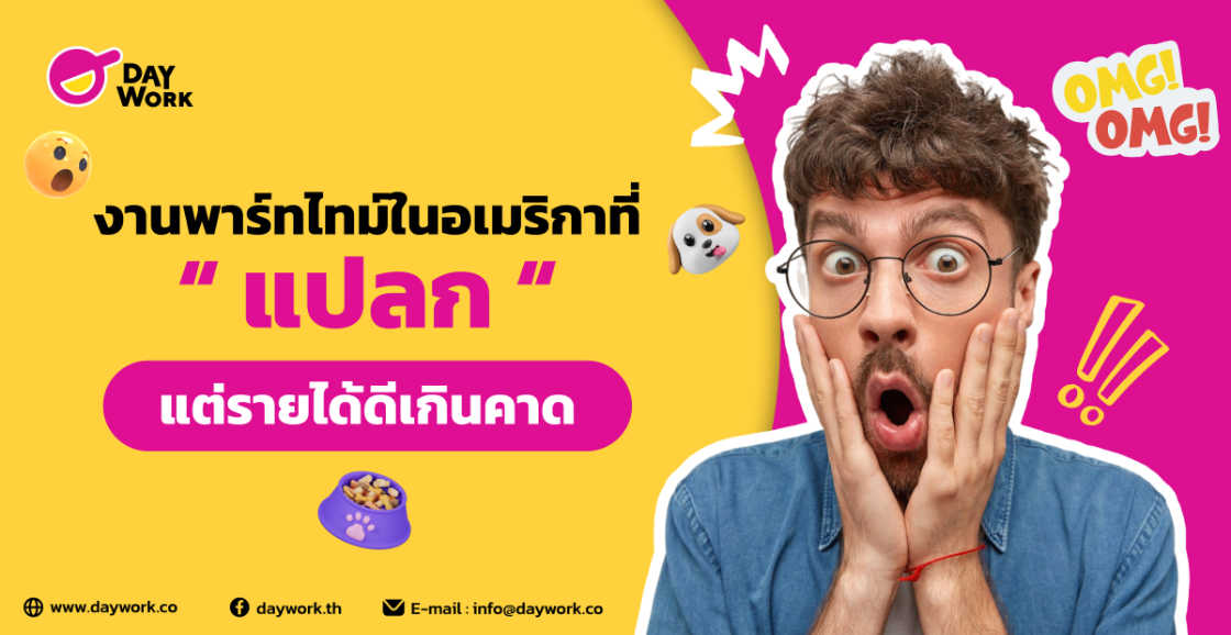 งานพาร์ทไทม์ในอเมริกาที่แปลกแต่รายได้ดีเกินคาด