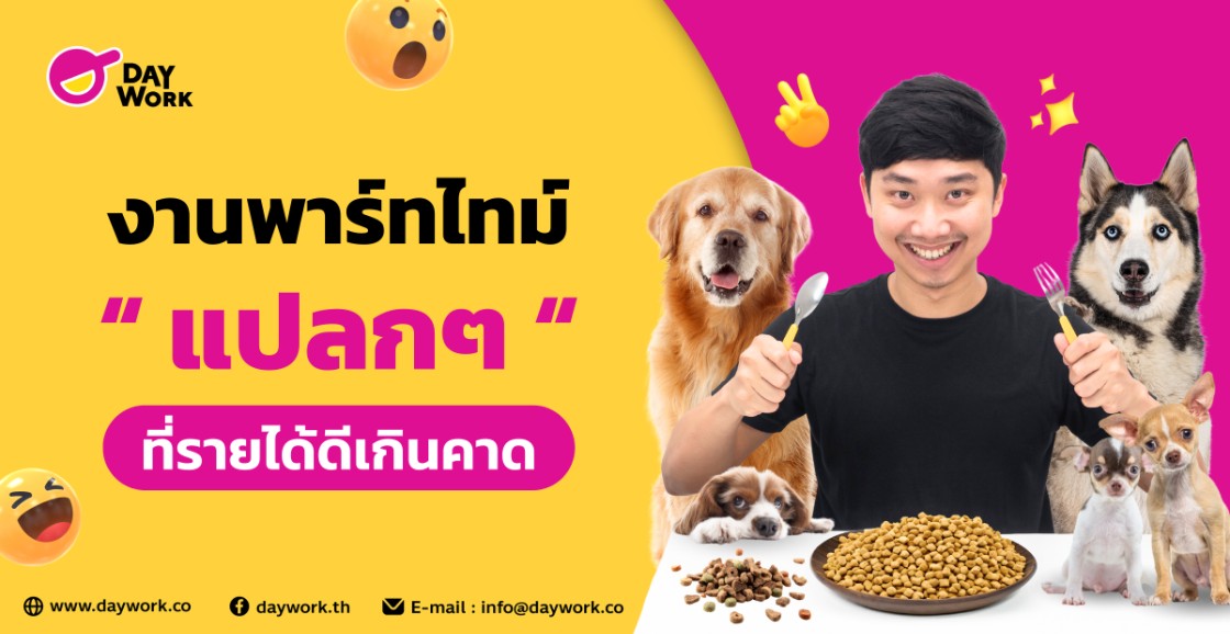 งานพาร์ทไทม์แปลกๆ ที่รายได้ดีเกินคาด