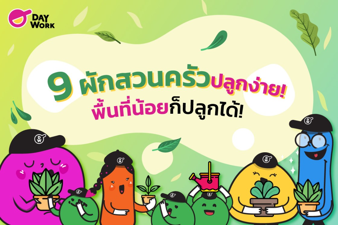 9 ผักสวนครัว ปลูกง่าย พื้นที่น้อยก็ปลูกได้